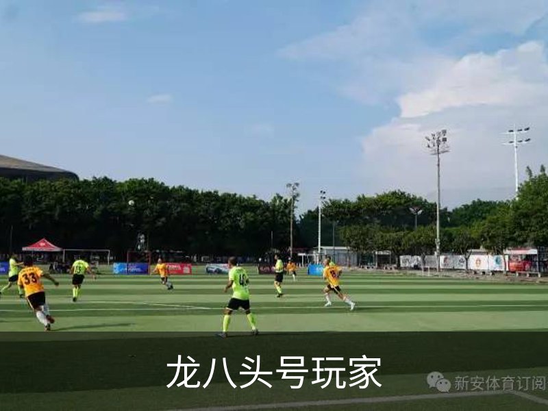 龙八头号玩家介绍